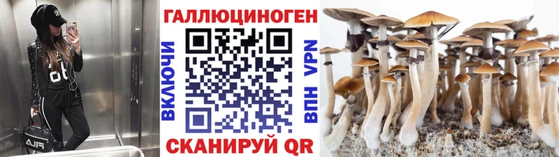 купить наркотик  Новороссийск  Галлюциногенные грибы ЛСД 