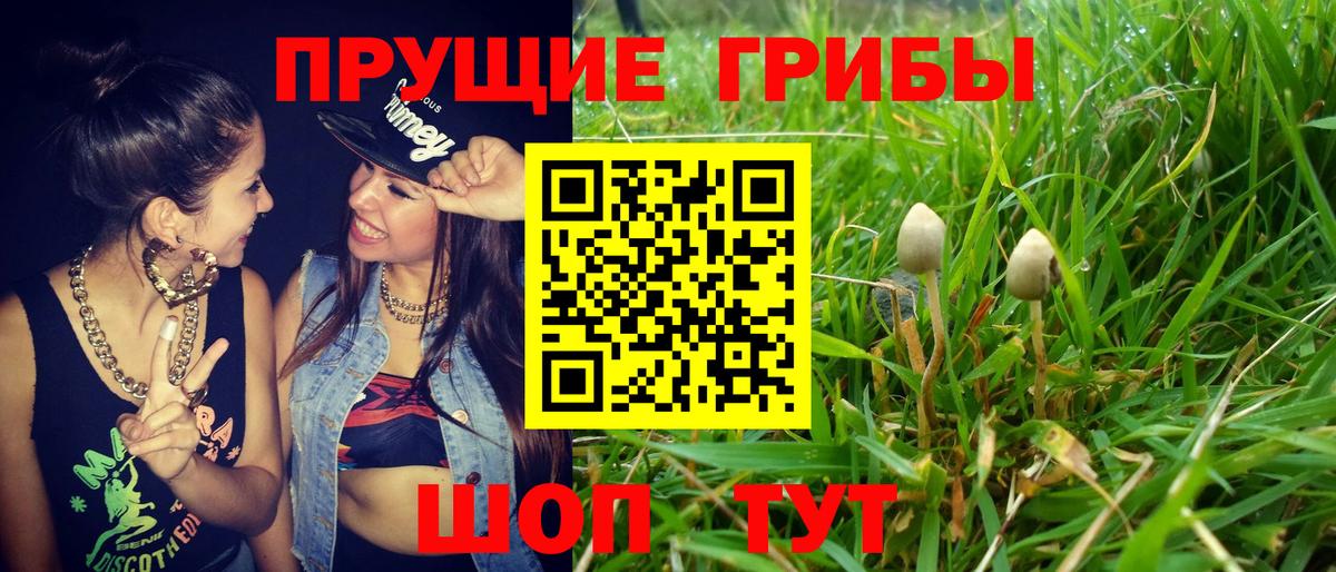 Псилоцибиновые грибы Magic Shrooms  Вход с VPN  Галлюциногенные грибы ЛСД  Новороссийск 