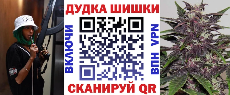 Бошки марихуана THC 21%  Новороссийск 